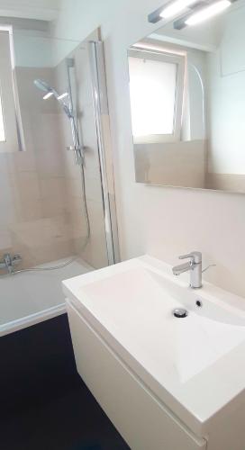 a white bathroom with a sink and a shower at Spacious Apartments in the Heart of Antwerp in Antwerp