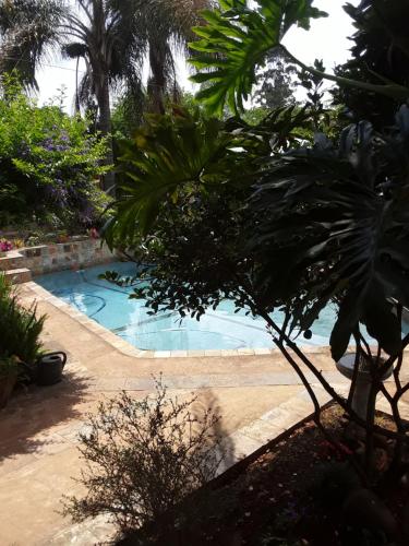 a swimming pool in a yard with trees and plants at Fatties and Monies Guesthouse in Sabie