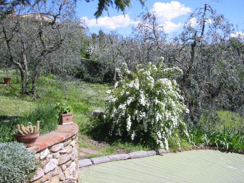 a bush with white flowers next to a brick wall at Il Casalone in Impruneta