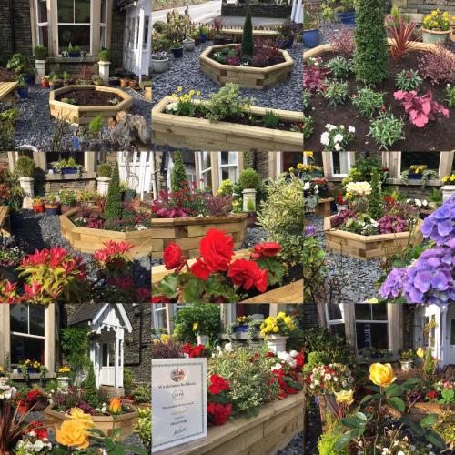 May Cottage B&B – Photos 4