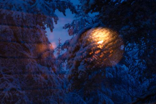 a view through a window of snow covered trees at night at Lapland Hotels Sky Ounasvaara in Rovaniemi