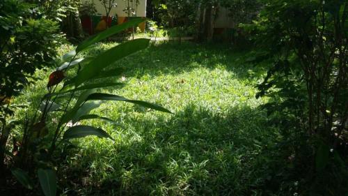 Jardín al aire libre en Green Zion Garden