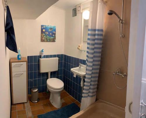 een badkamer met een toilet, een wastafel en een douche bij AMAZING BEACH & SUNSETS JUST 75m FROM THE BEACH! in Cadzand-Bad