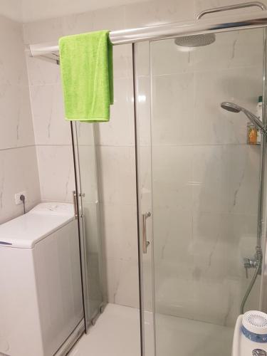 a bathroom with a shower with a green towel at Ocean View in Adeje