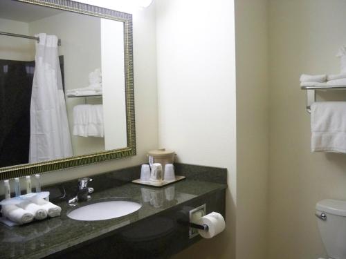 a bathroom with a sink and a mirror at Holiday Inn Express & Suites - Omaha I - 80 by IHG in Gretna