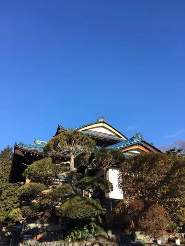 eine Kiefer vor einem Gebäude in der Unterkunft Kougetsu Sanso -- Moon Villa in Tokyo in Hachioji