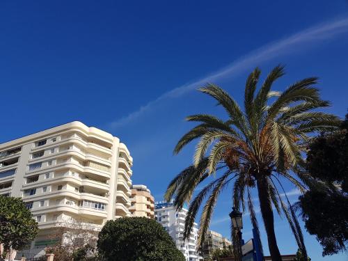 Beachfront Apartment Marbella Center photo 56