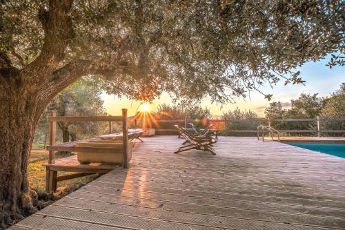 a wooden boardwalk with a bench and a tree at Alpaca country house in Pontedera
