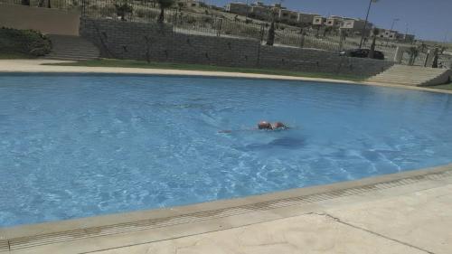 eine Person, die in einem großen Pool schwimmt in der Unterkunft Villa Fatima in Meknès