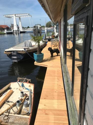 a black dog standing on a dock next to a boat at Morpheus in Amsterdam