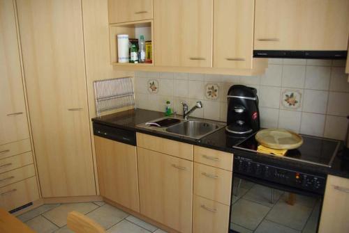 eine Küche mit einer Spüle und einer Arbeitsplatte in der Unterkunft Tgesa Marlotscha in Savognin