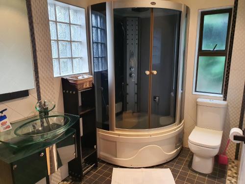 a bathroom with a shower and a toilet and a sink at Home Feeling Guesthouse in Port Shepstone