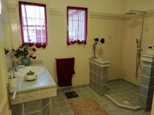 un bagno con doccia e lavandino di la maison du saunier a Salin-de-Giraud