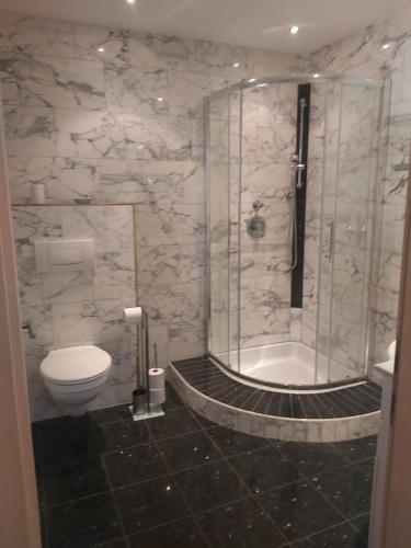 a bathroom with a shower and a toilet and a shower at Wohnstrasse 11 in Vomperbach