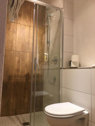 a bathroom with a glass shower with a toilet at Altes Forsthaus Waldenbuch / Bei der Messe Stuttgart in Waldenbuch