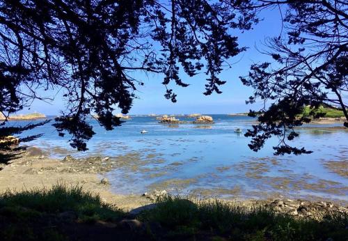 a view of a river with elephants in the water at St Rom, Vue imprenable sur l'Ile de Bréhat in Bréhat