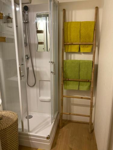La salle de bains est pourvue d'une douche et de serviettes vertes. dans l'établissement le 4B - Le Vintage, à Rouen