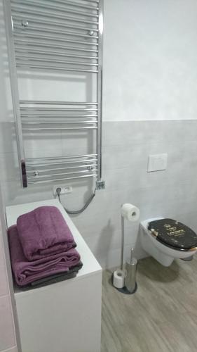 a bathroom with a toilet and a purple towel at Fewo Peter Erholungsort Bärenstein in Bärenstein