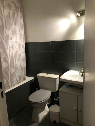 łazienka z toaletą i umywalką w obiekcie APPART PORT DU CANAL w mieście Dijon