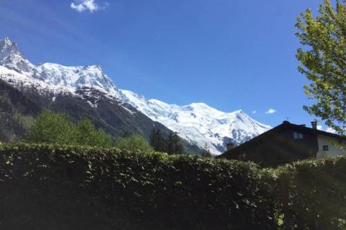Studio au calme avec jardin et vue Mont-Blanc