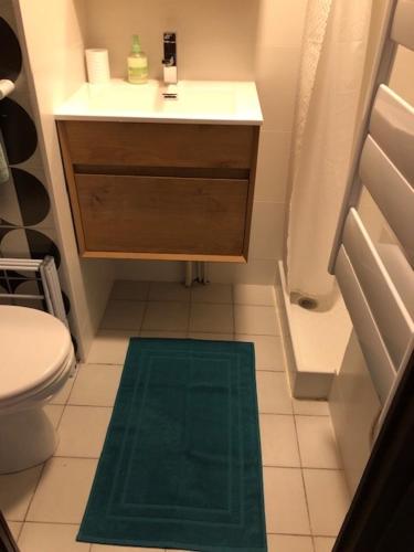 La salle de bains est pourvue d'un lavabo et d'un tapis vert. dans l'établissement Studio au calme avec jardin et vue Mont-Blanc, à Chamonix-Mont-Blanc