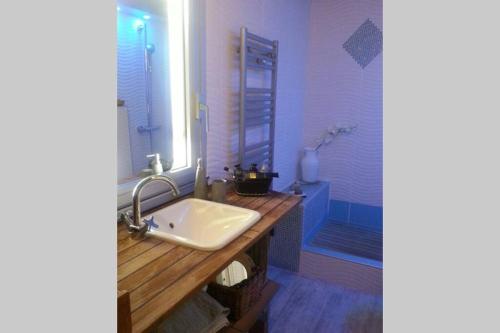 a bathroom with a sink and a mirror at PARENTHÈSE NATURE in Canet-en-Roussillon