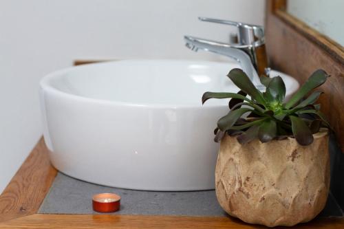 a bathroom sink and a potted plant on a counter at Finca Arbequina in Pájara