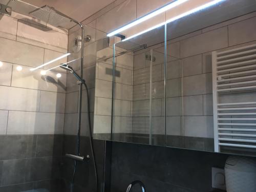 a shower with a glass door in a bathroom at CERRO TORRE PLAGNE Du Samedi Au Samedi in Aime La Plagne
