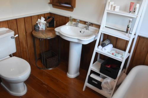 a bathroom with a white sink and a toilet at Shy Cottage and Studio in Greytown