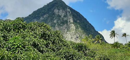 Un paisaje natural cerca de la casa vacacional