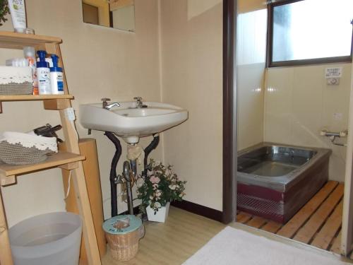 a bathroom with a sink and a bath tub at Lodge Stack Point in Narusawa