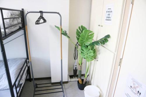 a plant in a room next to a bed at Joinus Ise Apartment in Ise