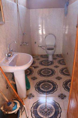 a bathroom with a sink and a toilet at Desert Rose Guesthouse in Luxor