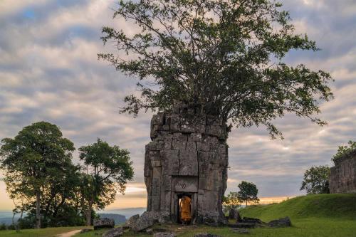 a tree growing out of a stone structure at De Sarann Villa in Siem Reap