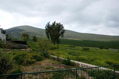 uma vista para um campo com uma árvore e montanhas em נוריות בגלבוע 1 em Nurit
