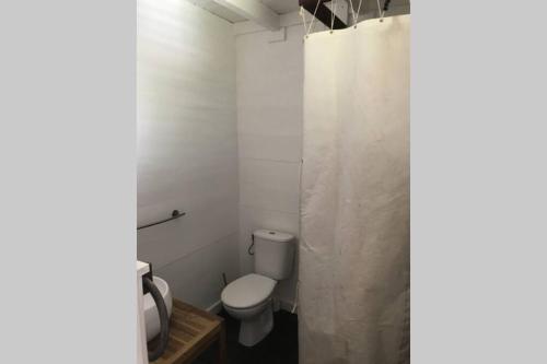 ein Bad mit einem WC und einem Duschvorhang in der Unterkunft Atea, le Loft... un concept saintois original in Terre-de-Haut