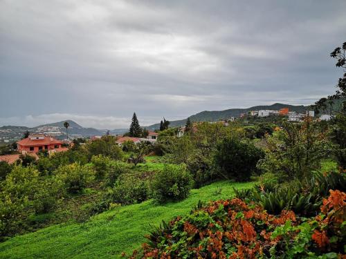 a green hill with bushes and trees and a house at FINCA EL PEDREGAL in Valsequillo