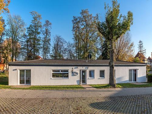 a white house with a tree in front of it at Pension zum Bergmann in Böhlen