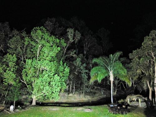 a park at night with a bunch of trees at Nomads Rest in Gympie