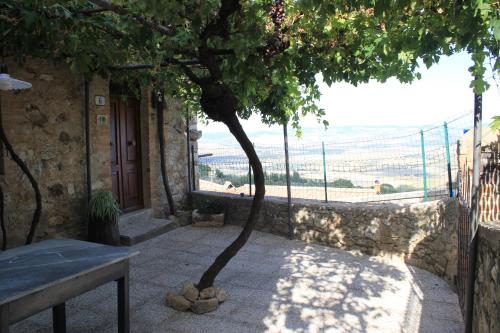 a tree in front of a building with a bench at La Casina di Nonna Lola in Castiglione dʼOrcia