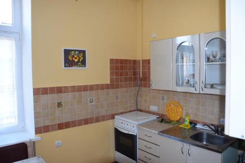 een kleine keuken met een wastafel en een fornuis bij Apartment Orgelsaal in Tsjernivsi
