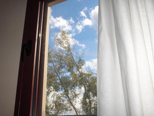 une fenêtre avec vue sur un arbre dans l'établissement Mikros Gialos Apartments, à Mikros Gialos