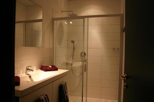 ein Bad mit einer Dusche und einem Waschbecken in der Unterkunft Hotel Kleine Festung Germersheim in Germersheim