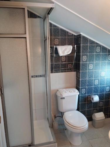 a bathroom with a toilet and a shower at Hostal Amancay in Puerto Varas