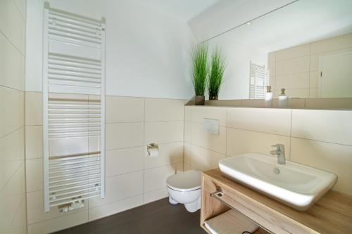 een witte badkamer met een wastafel en een toilet bij Living Hallertau in Rudelzhausen
