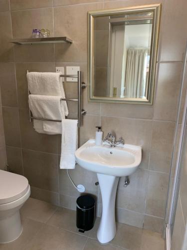 La salle de bains est pourvue d'un lavabo, de toilettes et d'un miroir. dans l'établissement Birkenhead Manor, à Bloubergstrand