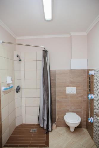 a bathroom with a shower and a toilet in it at King Arthur Panzió in Baja