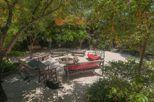 a group of benches and tables in a garden at Mustapha' s Place in Bwejuu