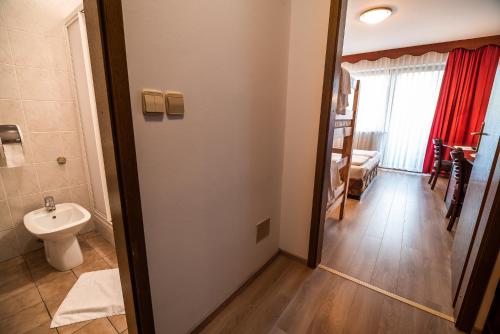 a bathroom with a toilet and a sink and a mirror at Guesthouse Leski Dvor in Lesce