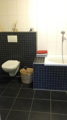a bathroom with a toilet and a tub and a sink at erve Hanebulten in Haaksbergen